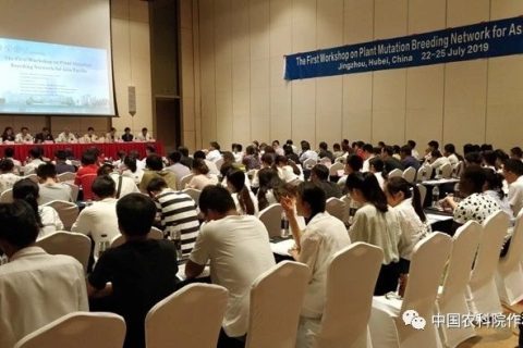 【國科快資訊】植物誘變育種新高度：第一屆亞太植物誘變育種協(xié)作網(wǎng)研討會成功舉辦！