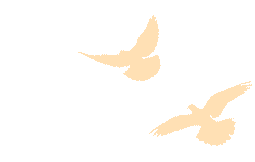 每日五道題，帶你學(xué)習(xí)二十大報告（二十）