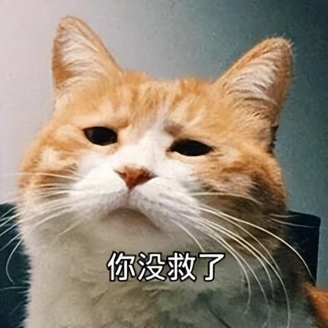 推薦幾款有趣免費(fèi)App，不用白不用（有趣又實(shí)用的app）