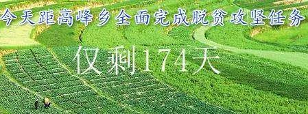 黨員同志們：“甘肅黨建”如何下載？怎么使用？你們學(xué)會(huì)了嗎？