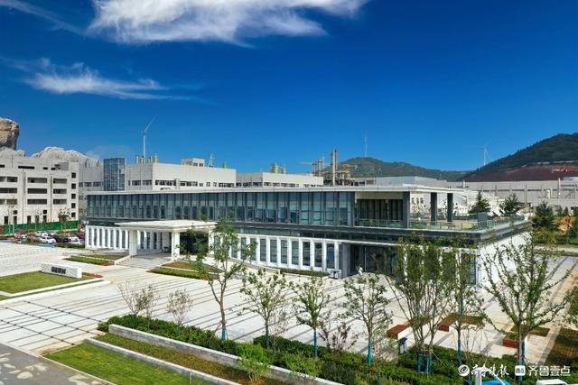 國企黨建看煙臺-泰和新材：敢想敢干不認(rèn)命，把創(chuàng)新刻在骨子里（煙臺泰和新材料股份有限公司董事長）
