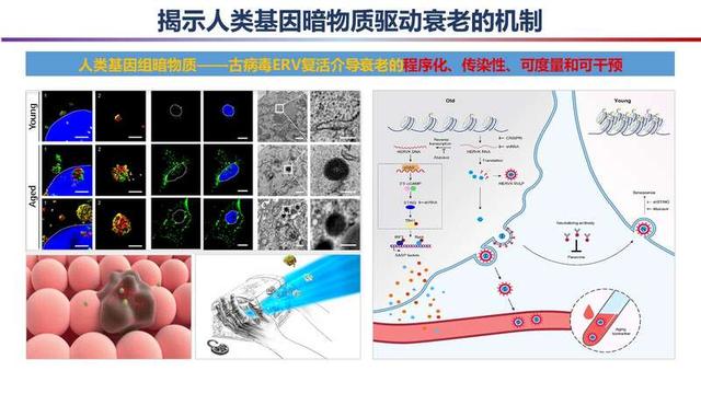 2023年度“中國(guó)科學(xué)十大進(jìn)展”發(fā)布，主要分布在生命科學(xué)等領(lǐng)域（2021年度中國(guó)科學(xué)十大進(jìn)展）
