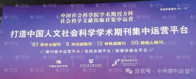 國內(nèi)核心期刊分級情況概覽及說明?。▏鴥?nèi)核心期刊分級情況概覽及說明怎么寫）