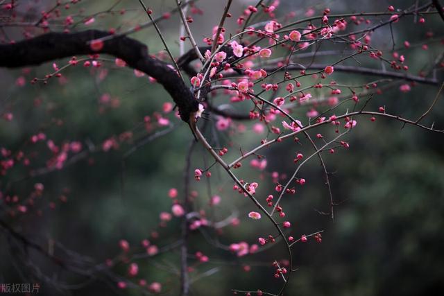 又要開始填報內(nèi)控報告了，報告需要的佐證材料該如何準備？（內(nèi)控報告佐證材料范本）
